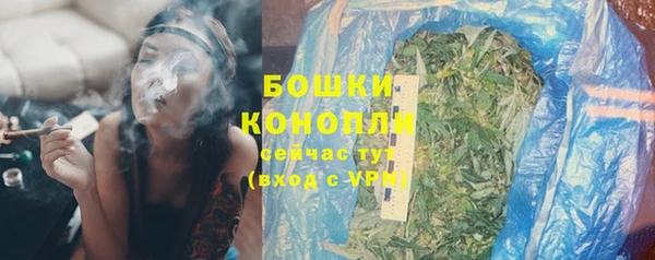 ALPHA PVP Бородино