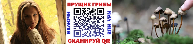 Галлюциногенные грибы мицелий Купить где Чебаркуль